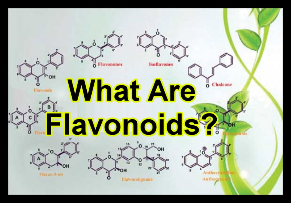 WHAT ARE FLAVANOIDS IN CANNABIS